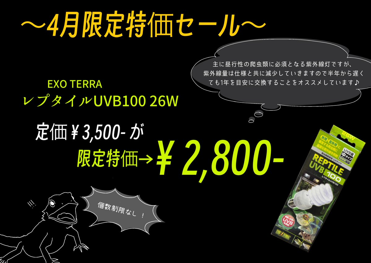 爬虫類倶楽部 大宮店 tweet media