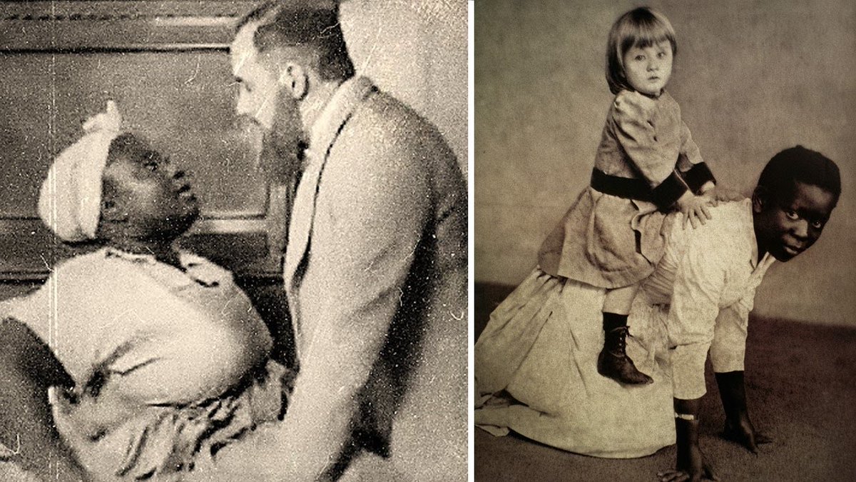 Zoom Afrika tweet media