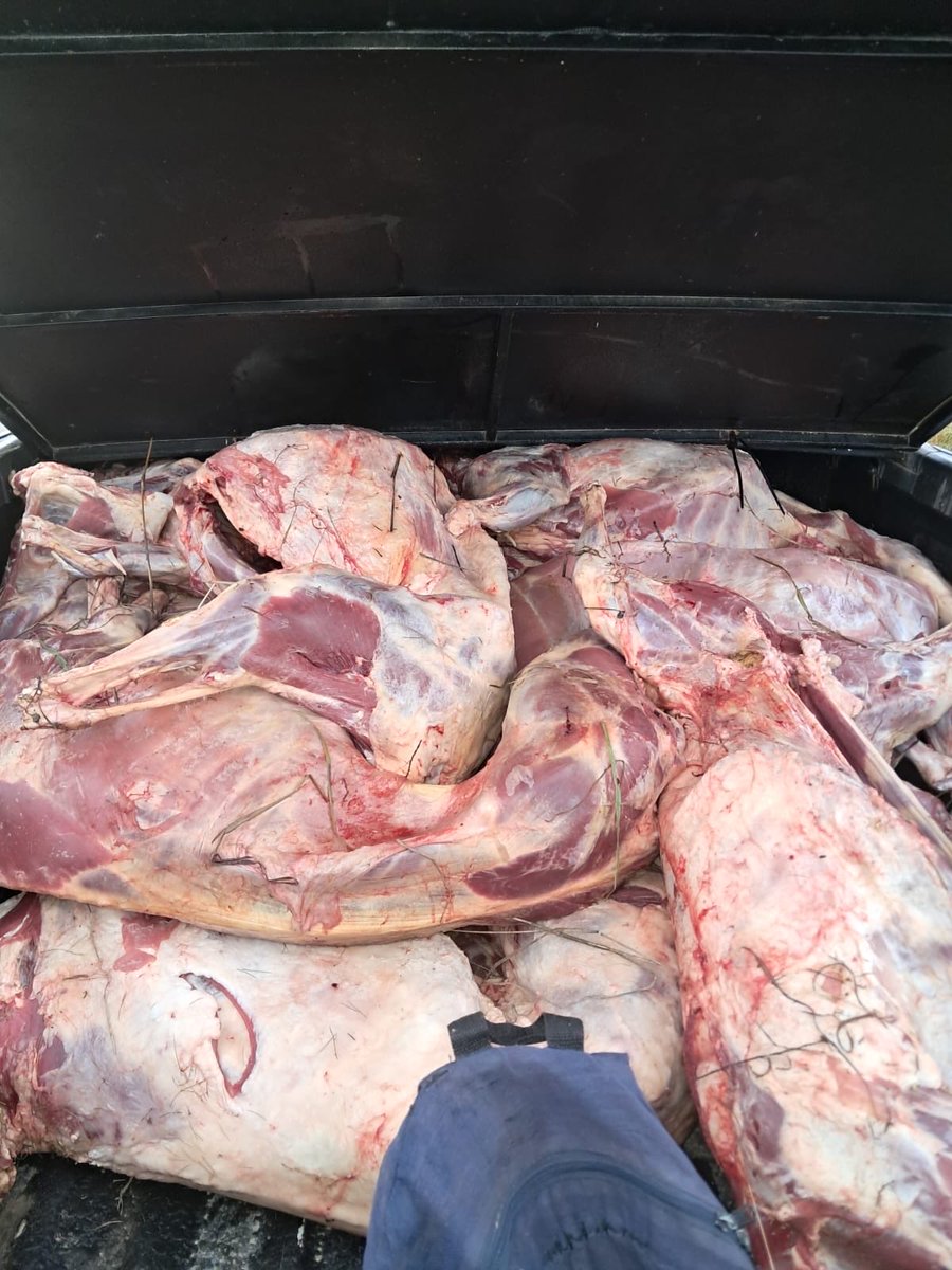 SA Police Service 🇿🇦 tweet media