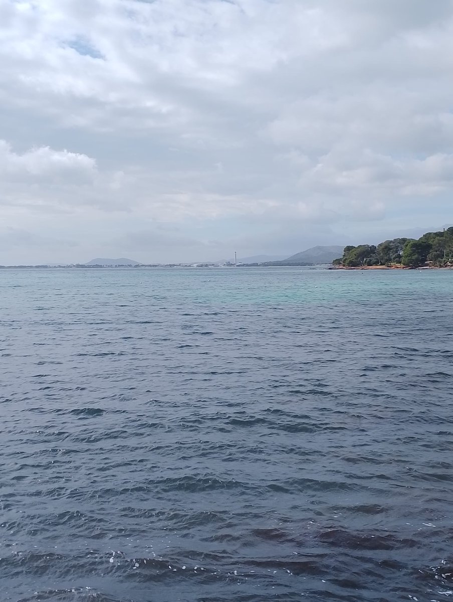 Shipper Canen #☮️💃🏿🇪🇸🇹🇷 tweet media