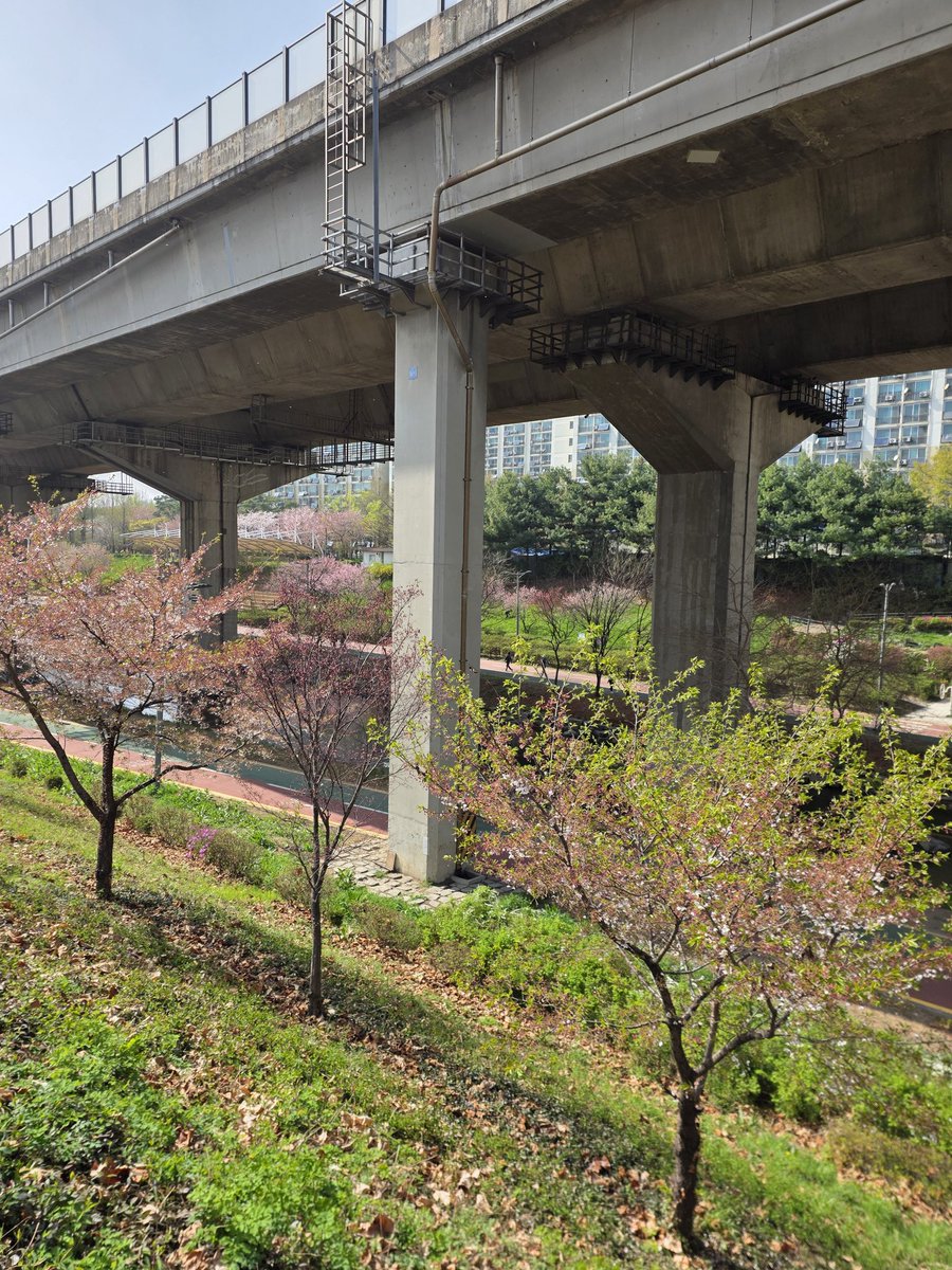 ํจ๐น tweet media