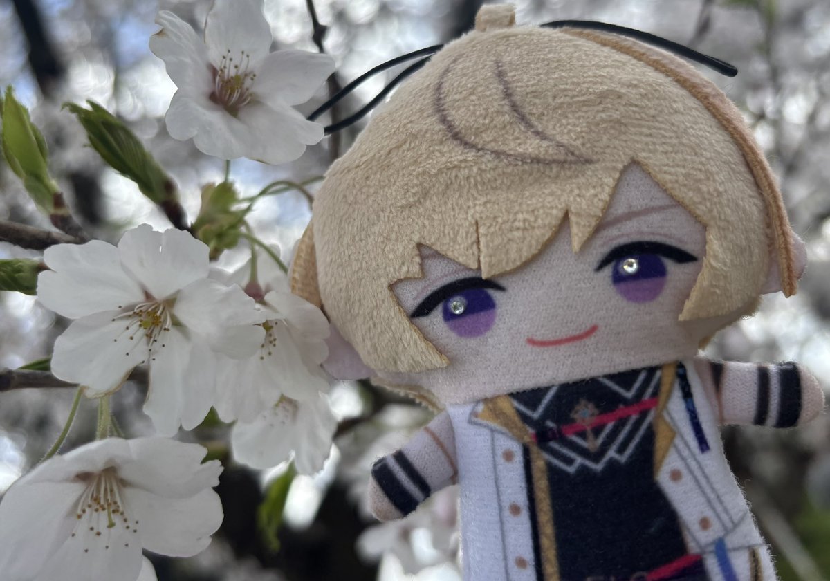 おり (@orioriorio0) on Twitter photo 