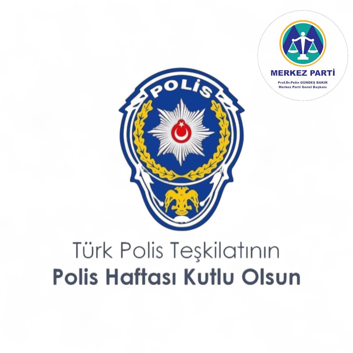 Prof. Dr. Pelin Gündeş Bakır tweet media