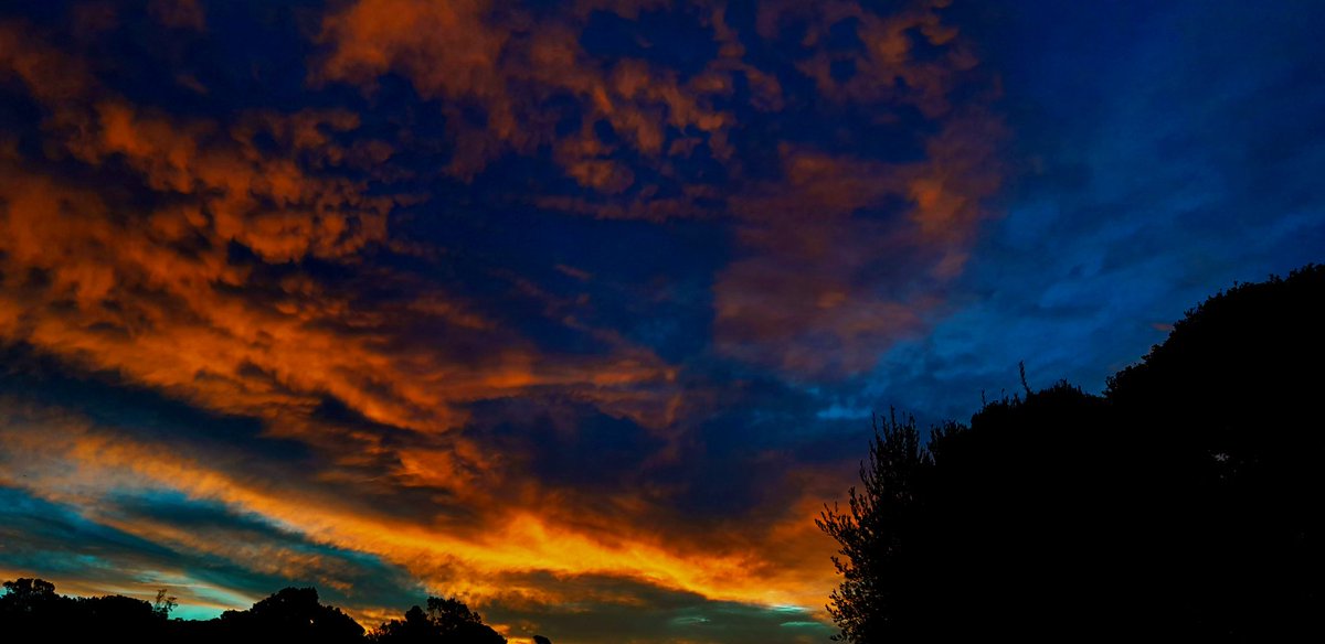 Kieran Haslett-Moore tweet media