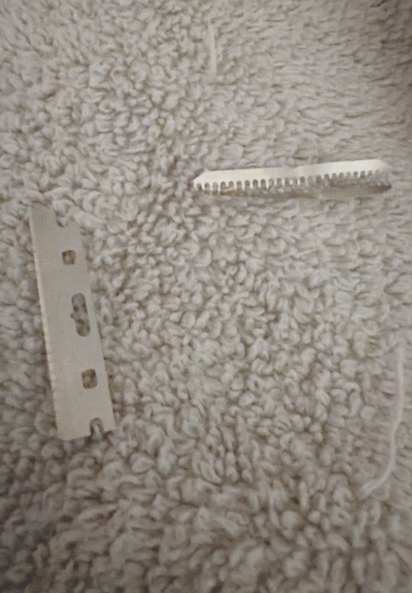 ﹕ ꒰ა mafuyu of shedtwt .ᐟ ֹ ₊ 🩹 tweet media