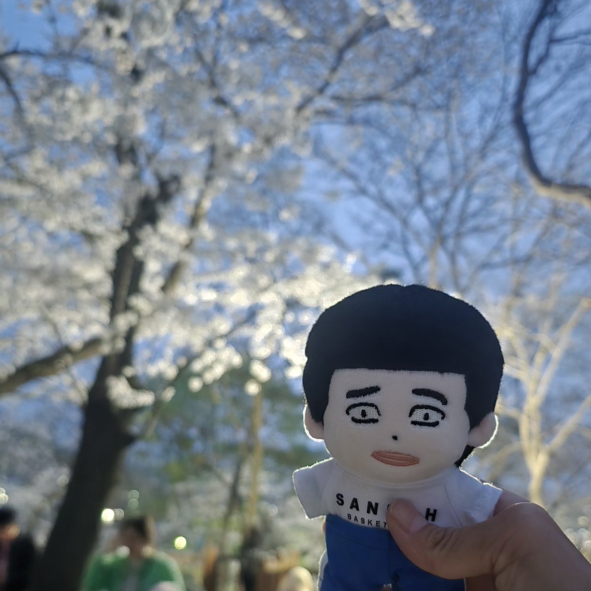 사운드와 패스를 훔치는 카여리 tweet media