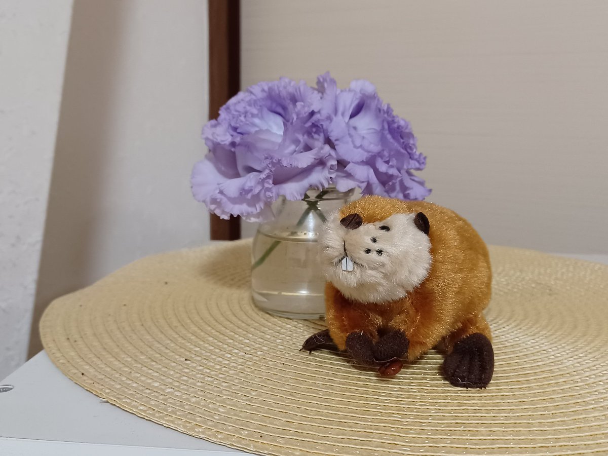 おかん tweet media