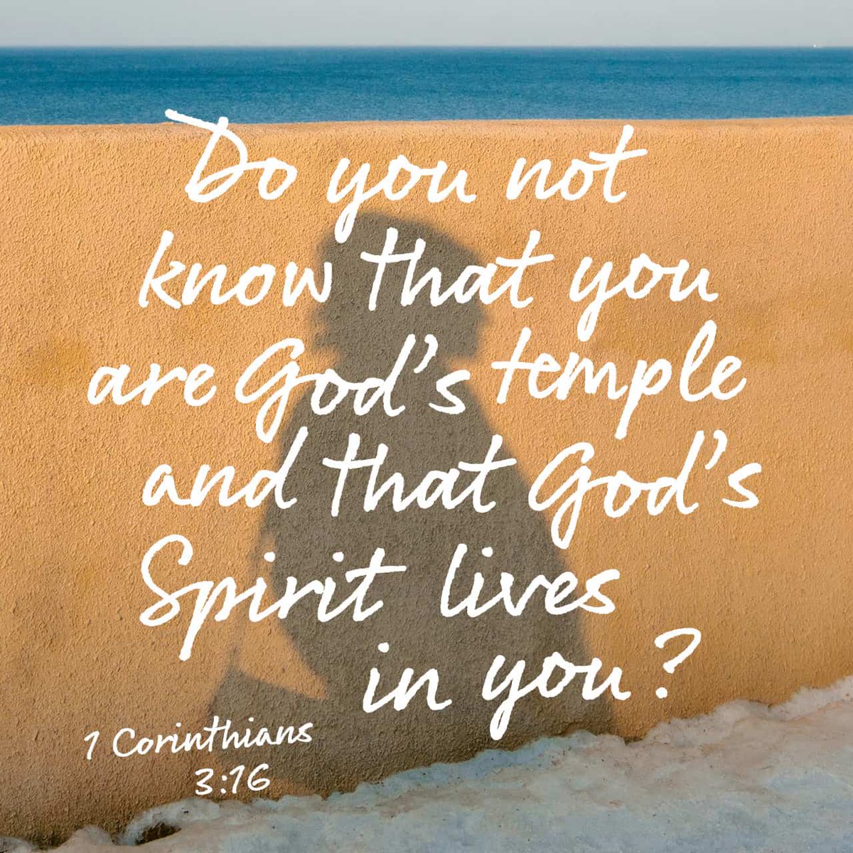 YouVersion Bible App tweet media