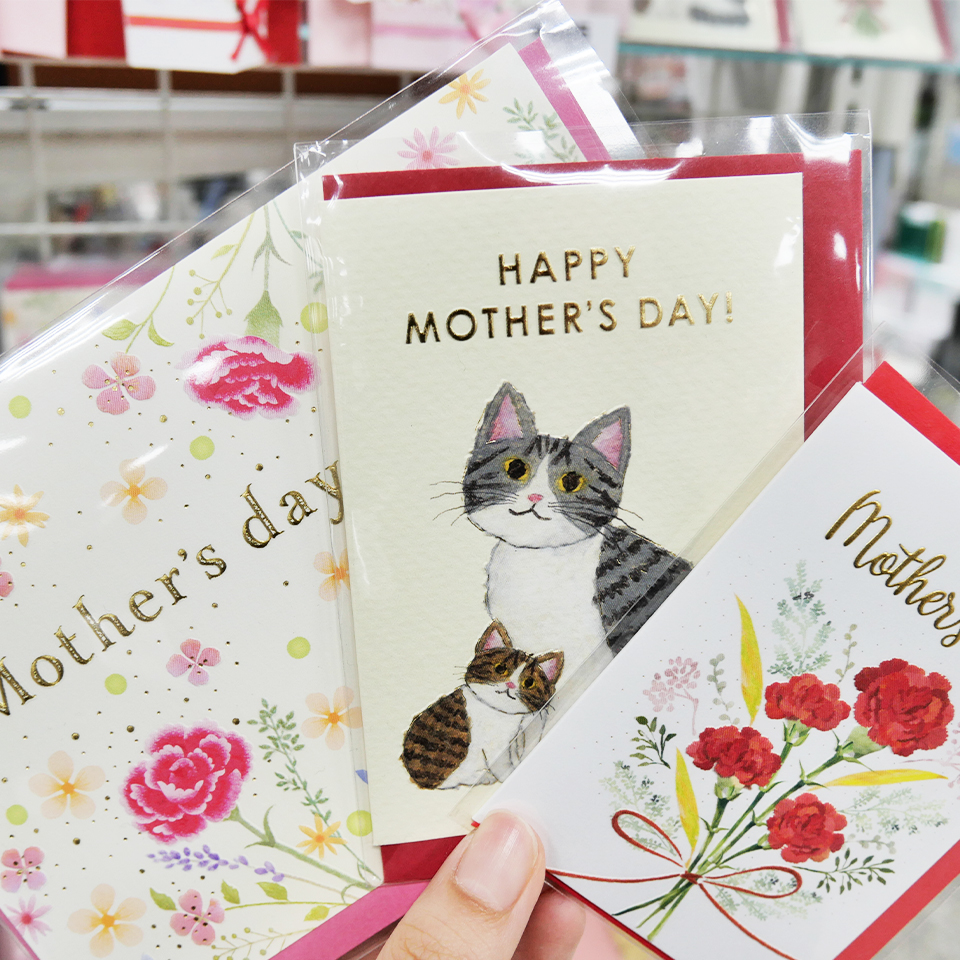 大丸藤井セントラル【公式】 tweet media