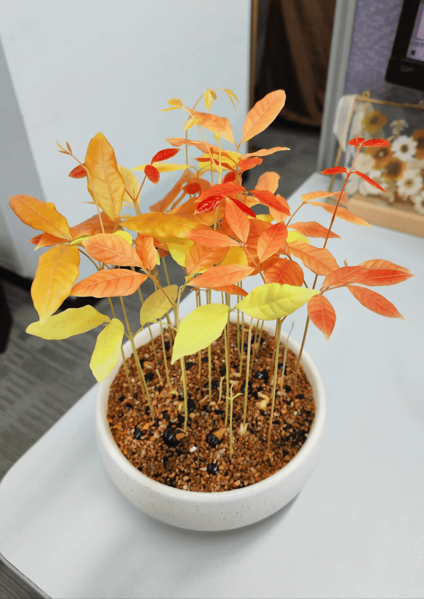 Robert Pledger tweet media