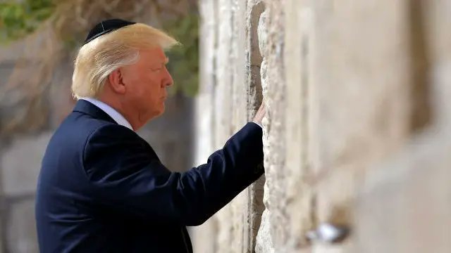 💡 Logical Hunter 🏹 tweet media