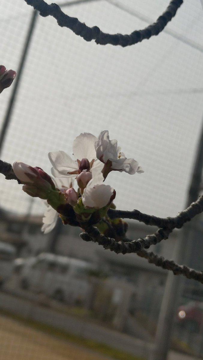 鶴湯@岡山市北区 tweet media