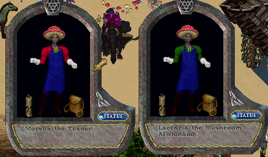 Mallberry tweet media