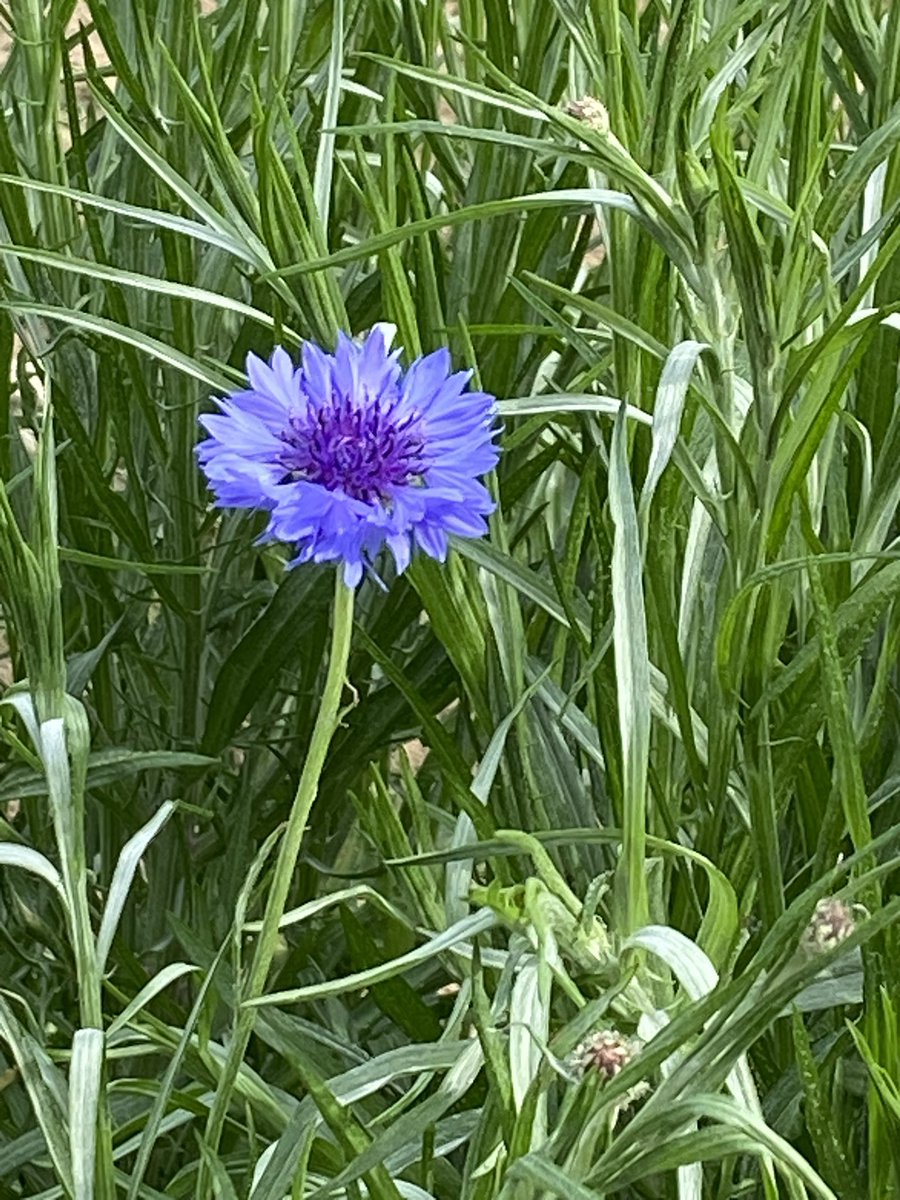 Anna@marianna tweet media