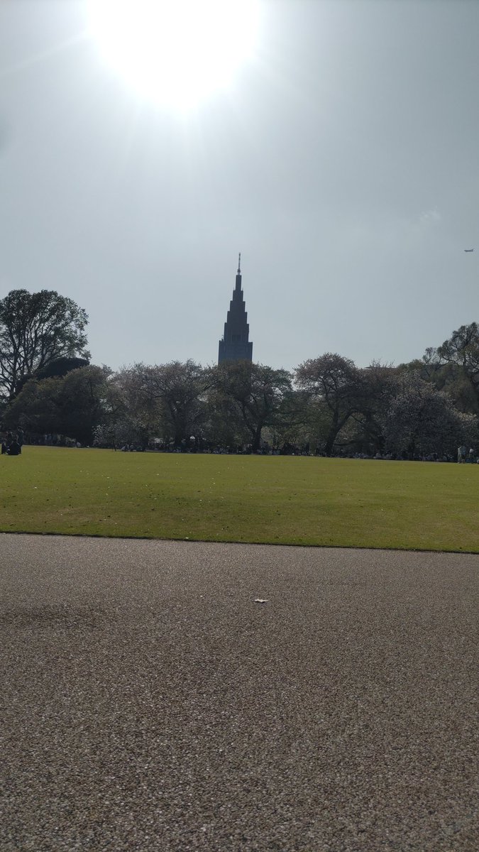 ひよこ🐤／あるみな tweet media