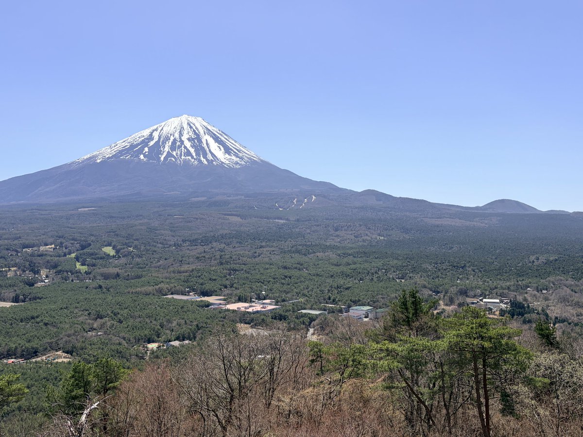 モーターサイクリスト tweet media