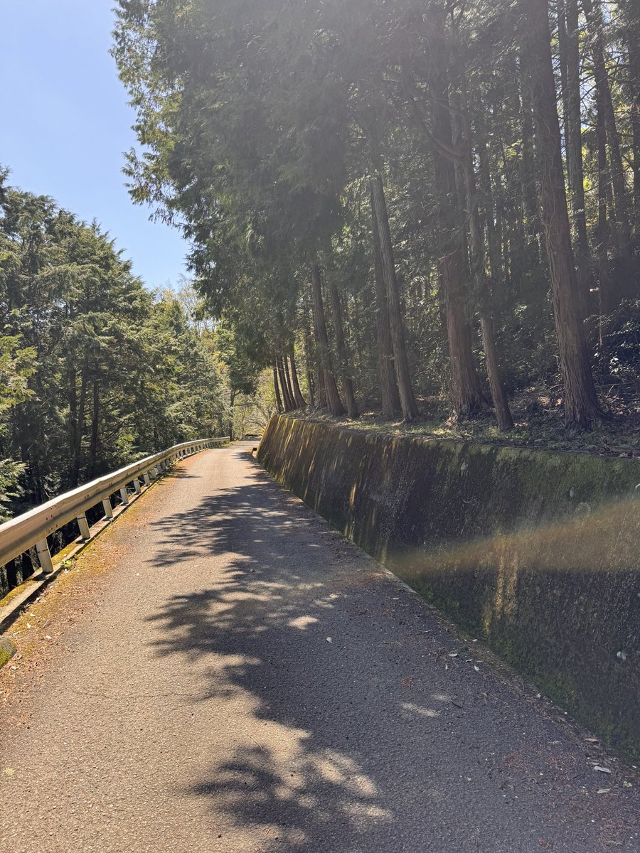 テンホウ tweet media