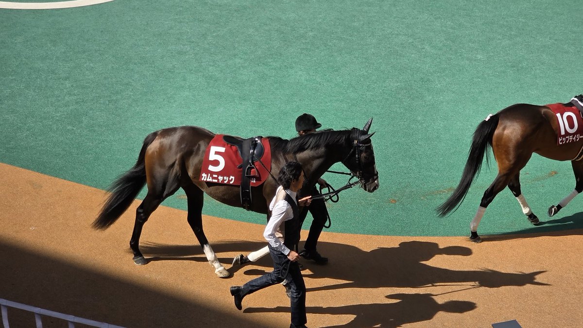 daisshot's tweet photo. G1馬3頭豪華！ https://t.co/YyvIIJzz1P