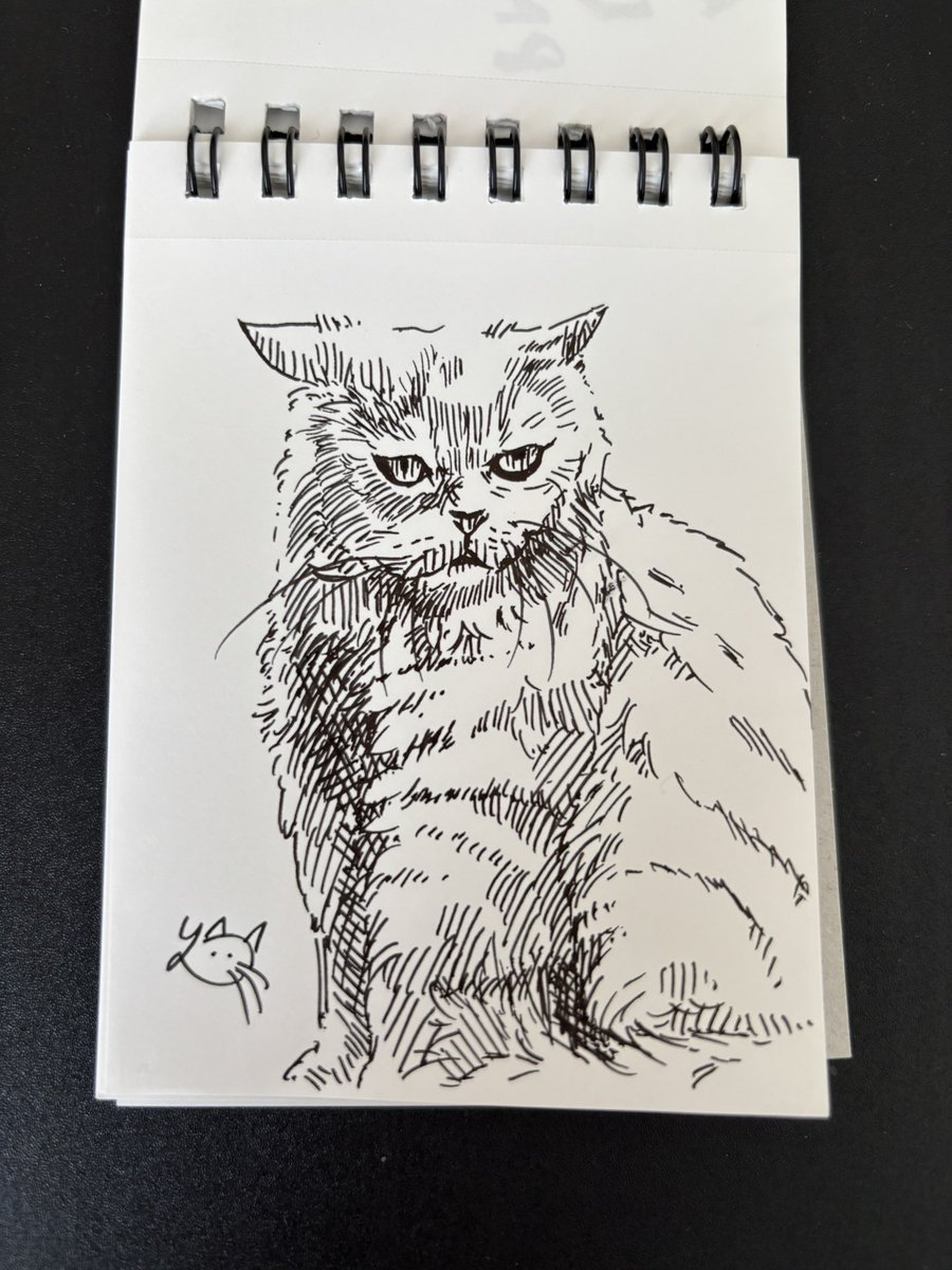 お茶♨️ tweet media