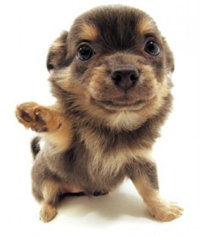 jelly jelly७ caixa mercari aberta tweet media