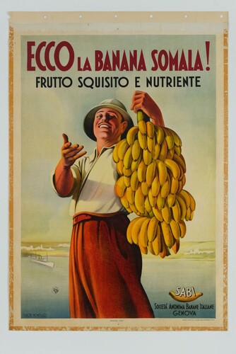 African Index tweet media