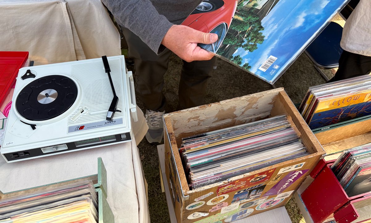 アサノ / asano『先輩データサイエンティストからの指南書』 tweet media