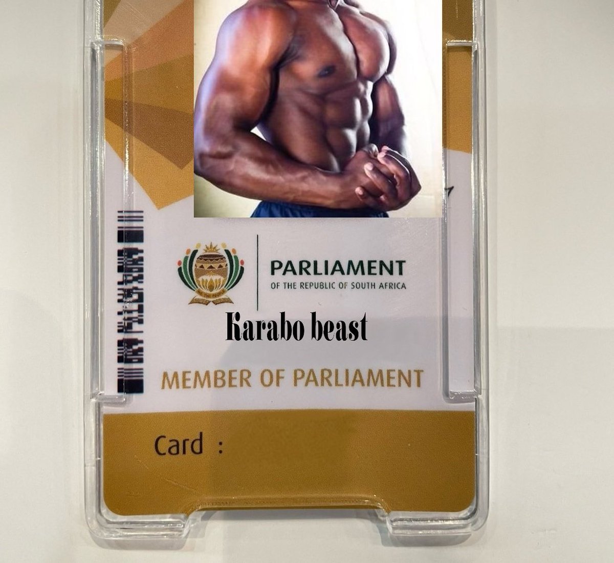 彡 ҡα૨૨αɓεαรƭ tweet media