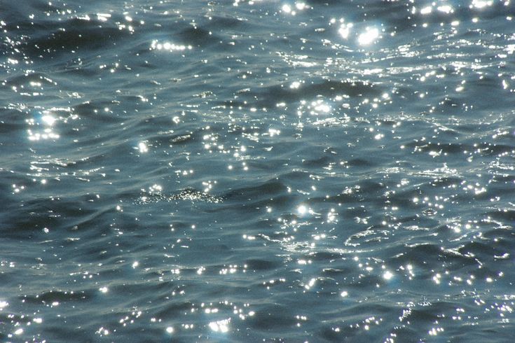 ocean tweet media