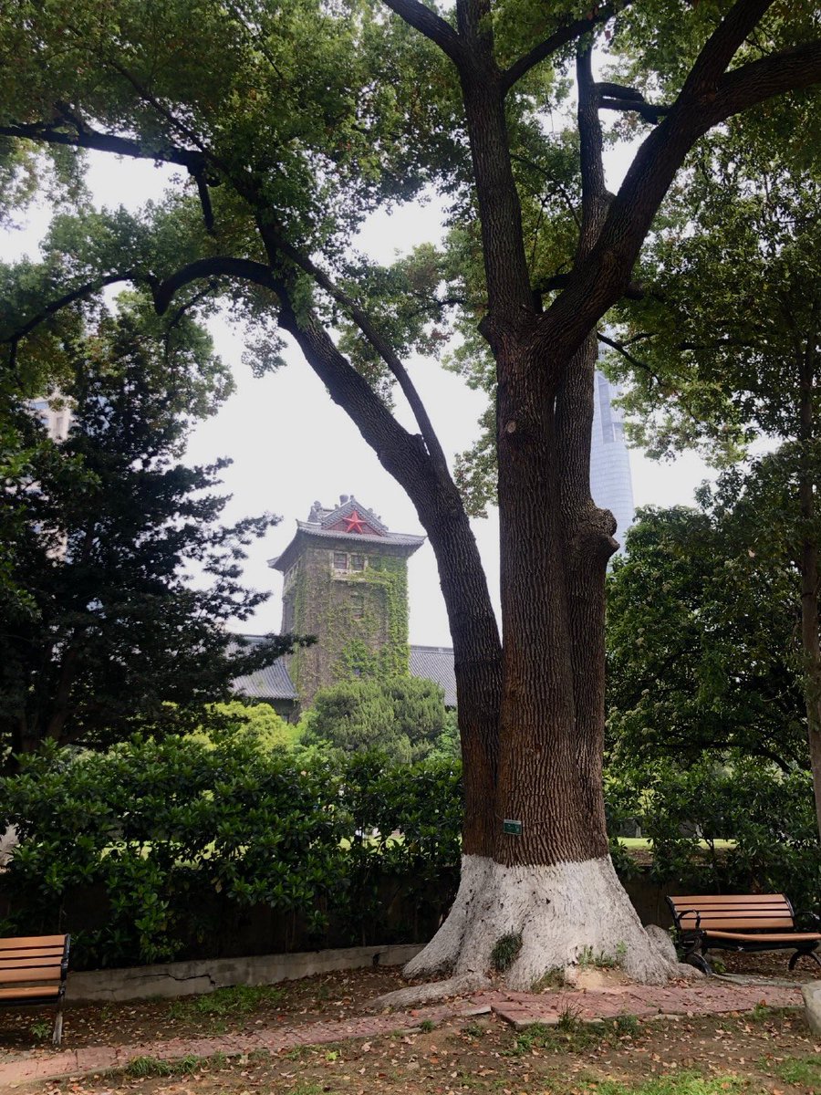 Jade Abby tweet media