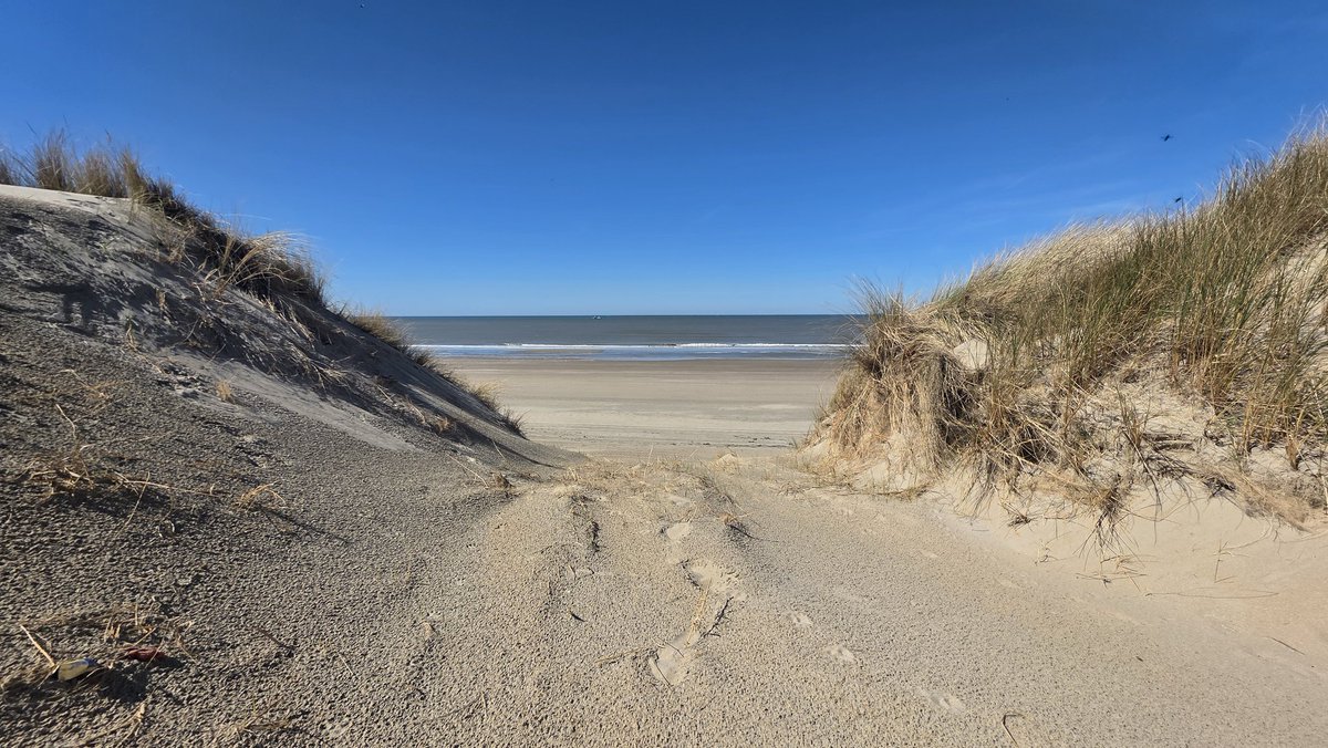 Der_traurige_Typ tweet media