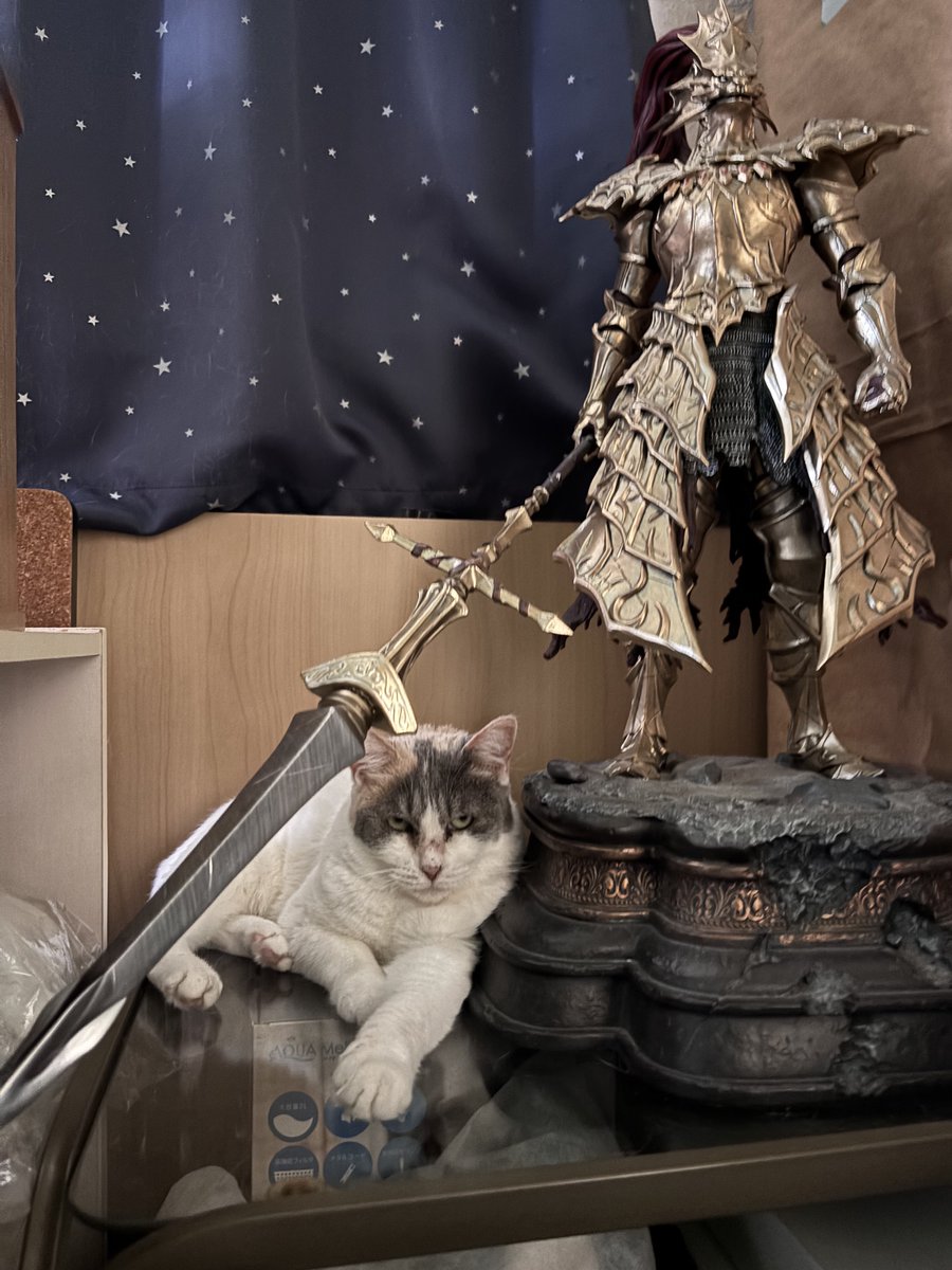 🧸もにゃ🇨🇿 tweet media