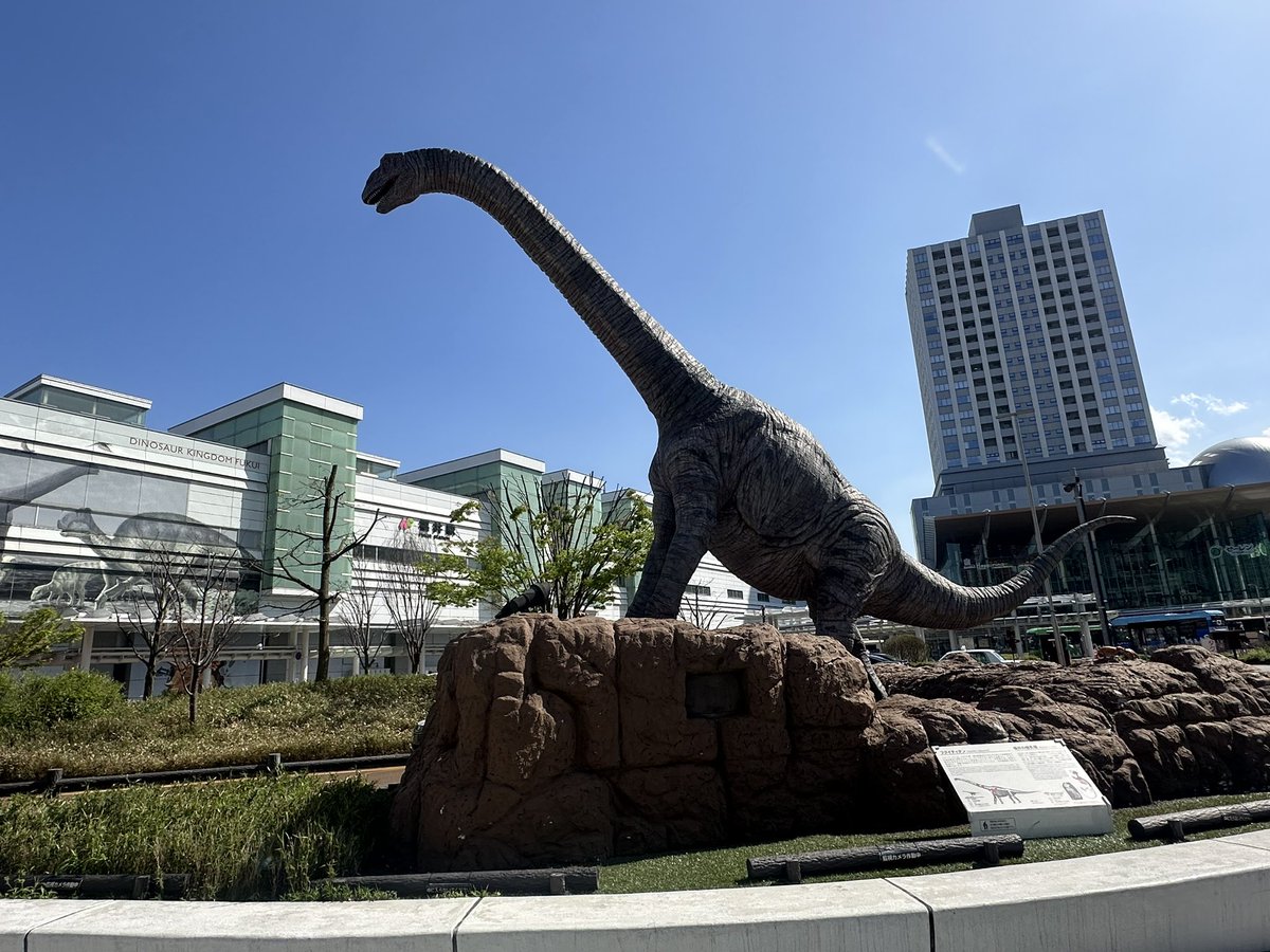 まいこ tweet media