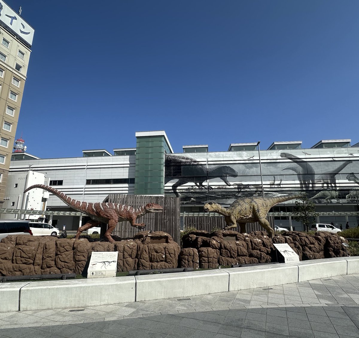 まいこ tweet media