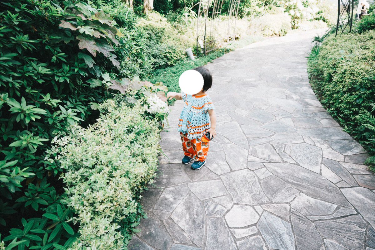 みょん☺︎ tweet media