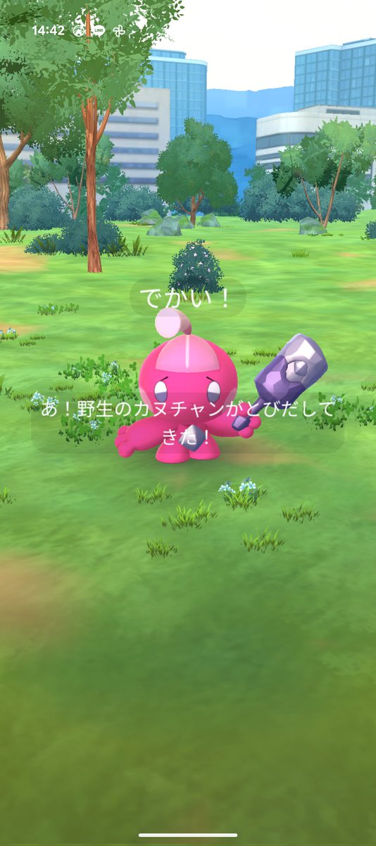 coba516's tweet photo. でカヌチャン捕まえた
#コミュニティデイ
#ポケモンGO https://t.co/bcJ0xsi41T