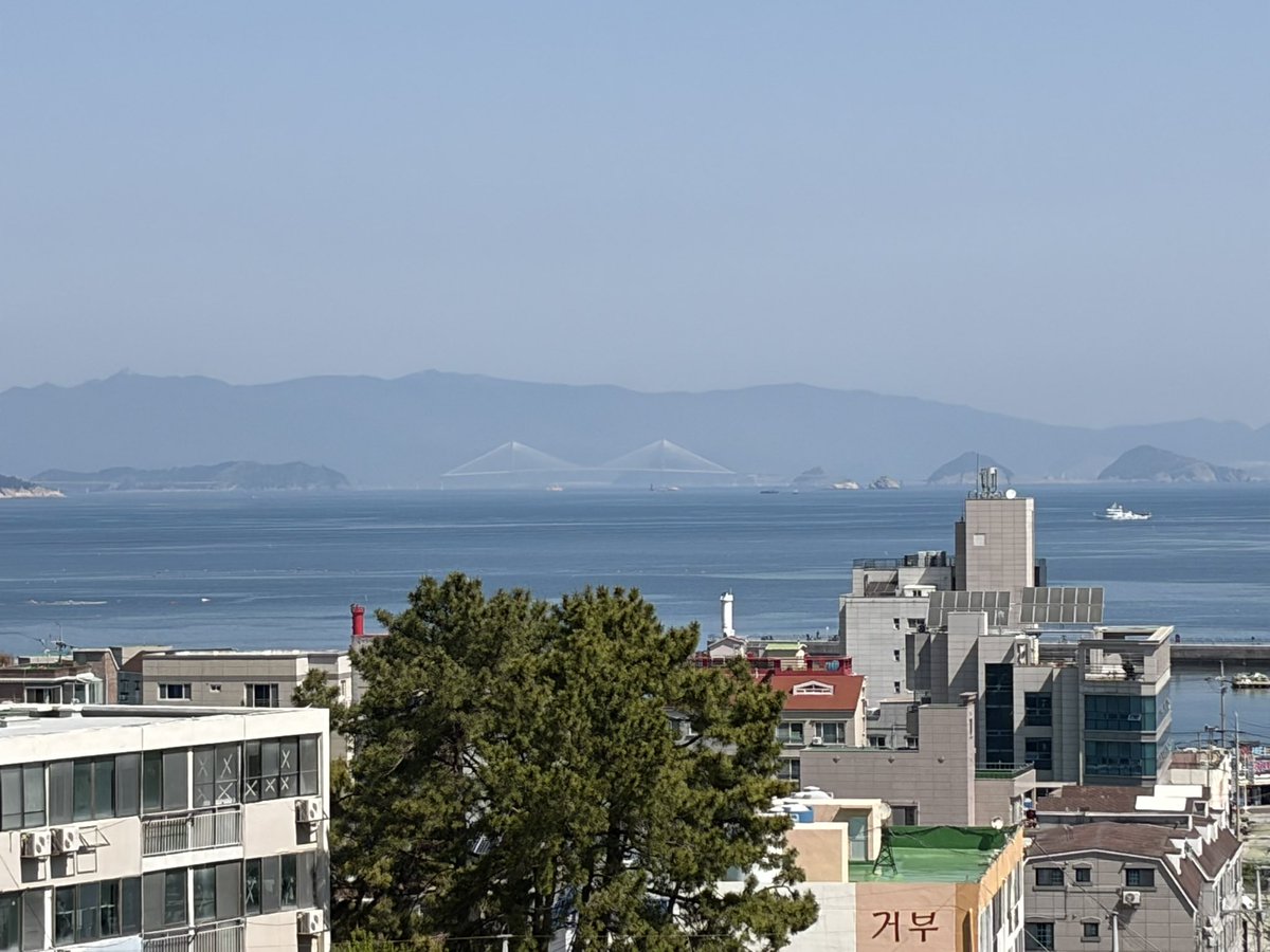 자몽자몽하게산다🕯️ tweet media