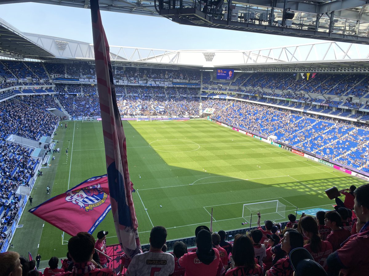 むっちゃん🌸🧸 tweet media