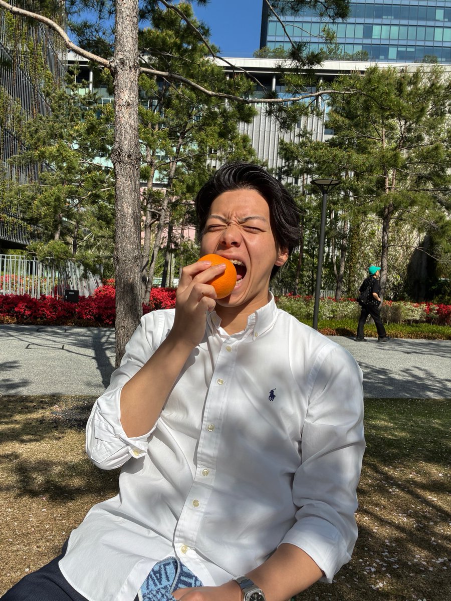 ふくしま健太【国民民主党🐰】 tweet media