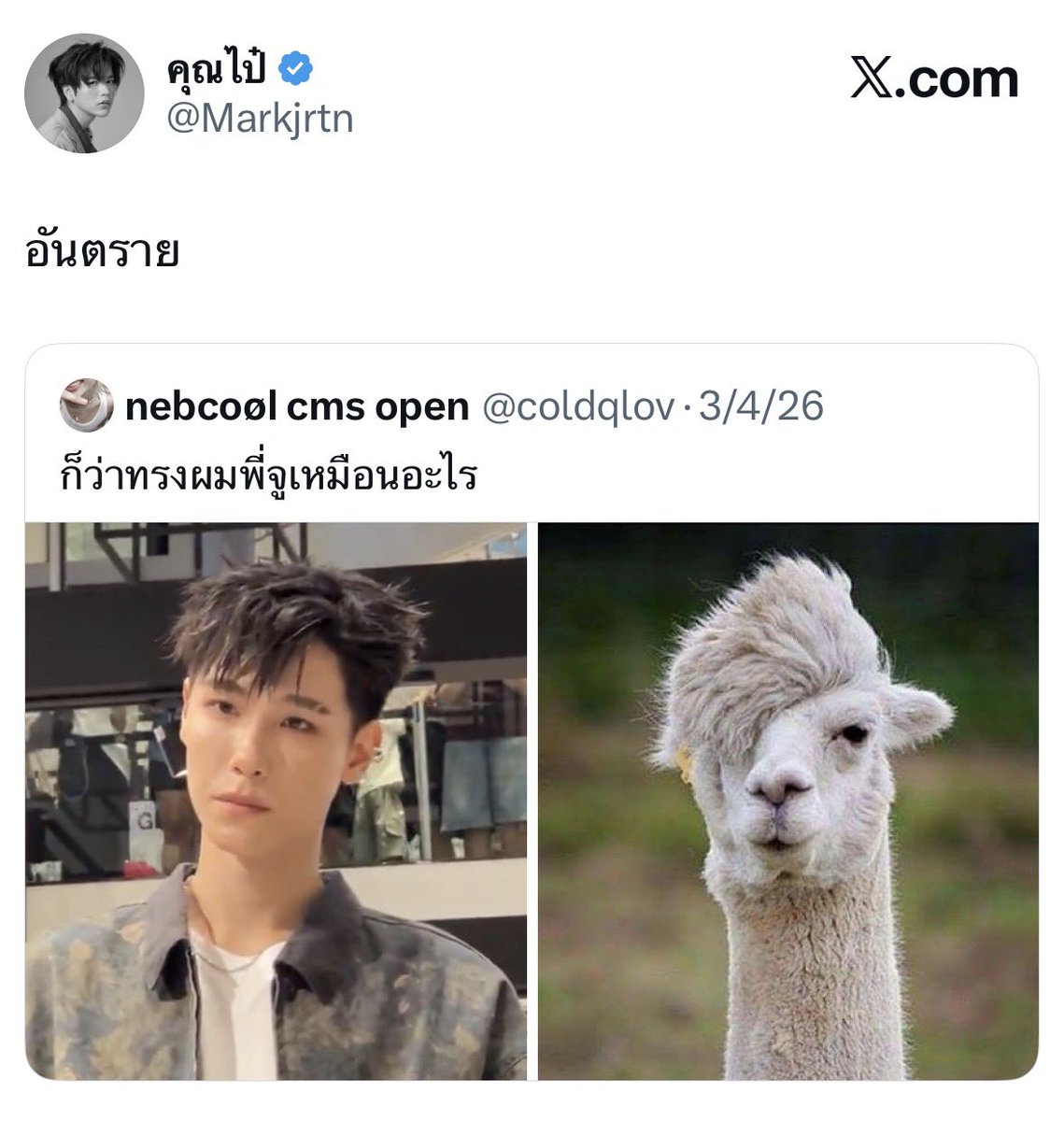 🐰ིྀ tweet media