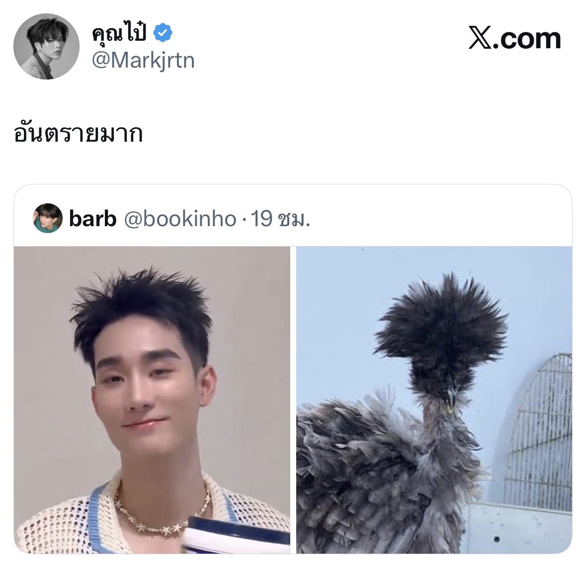 🐰ིྀ tweet media