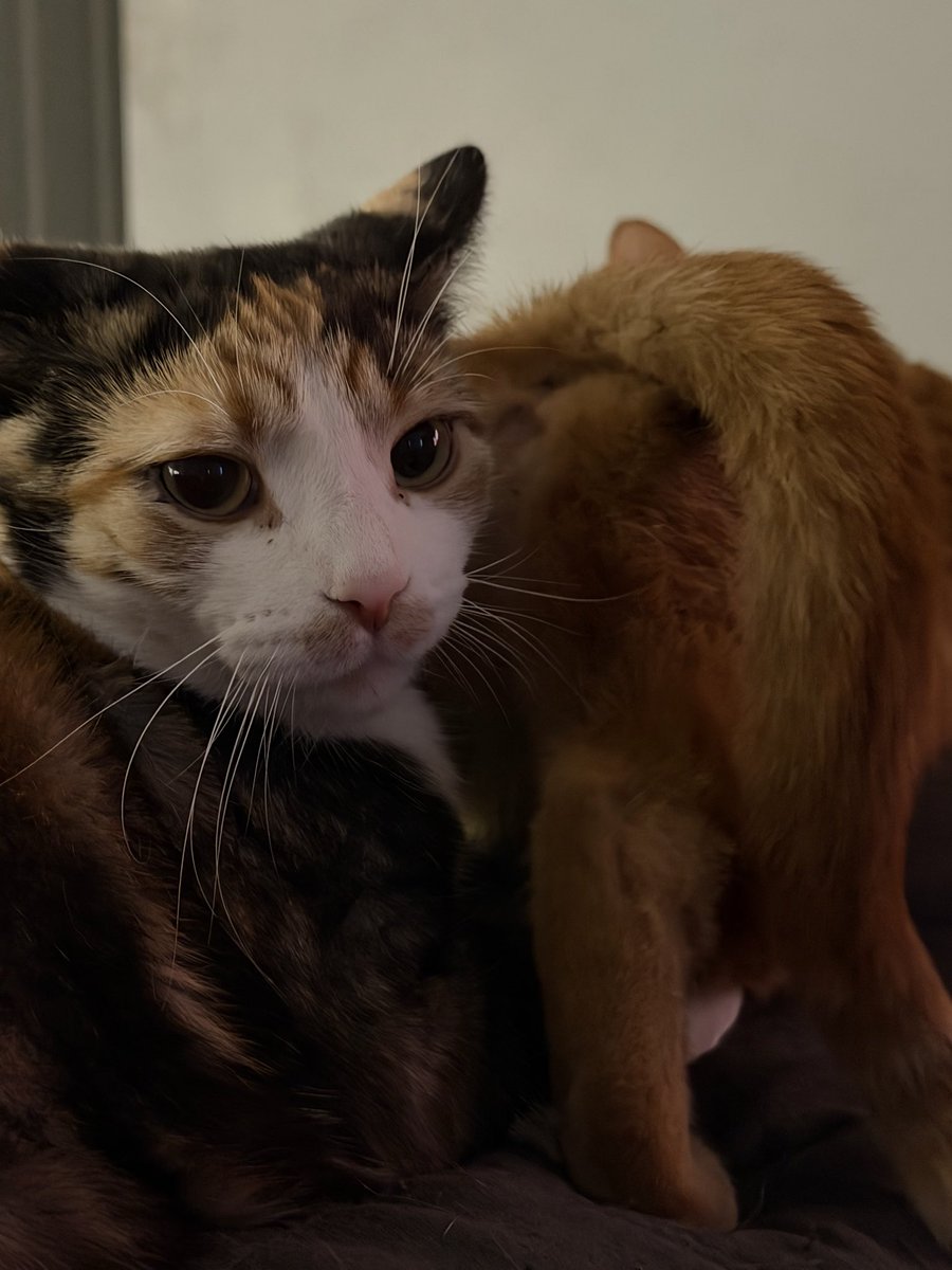 LadyRuski🫀 tweet media