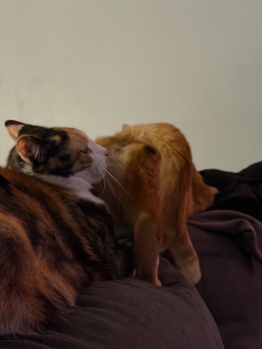 LadyRuski🫀 tweet media