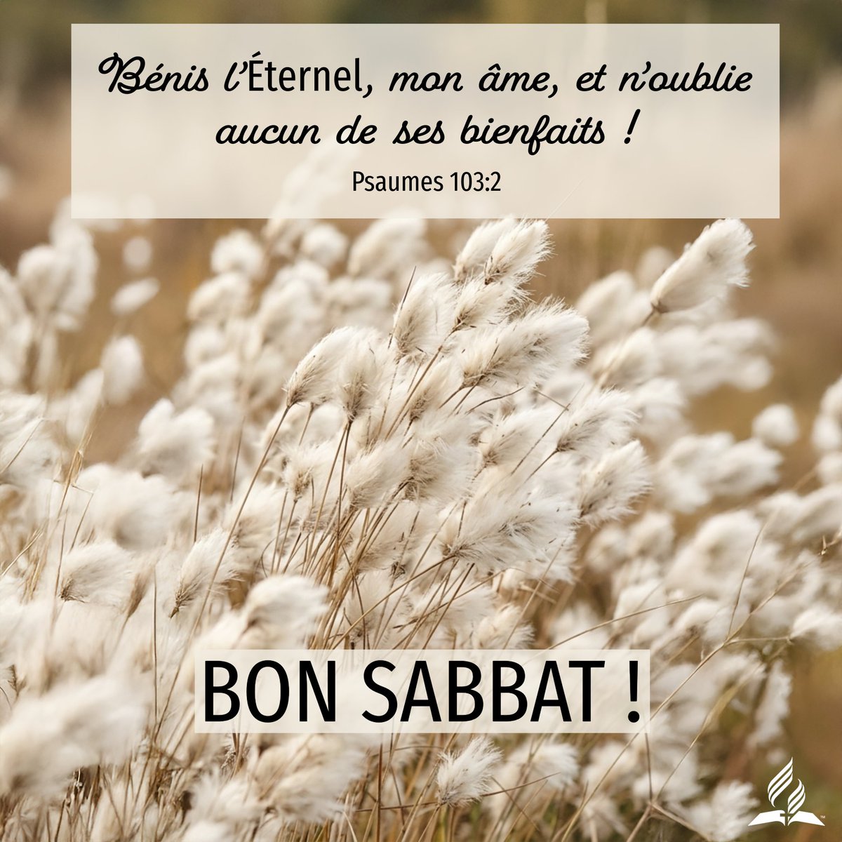 Église d'Épinal tweet media