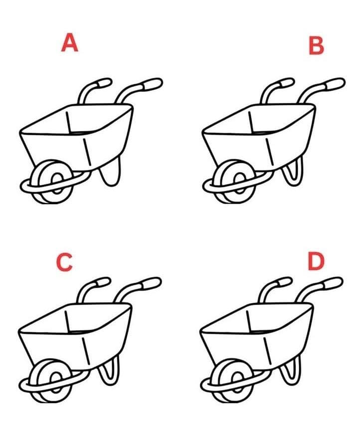 Victoria_vibes 🇺🇸 tweet media