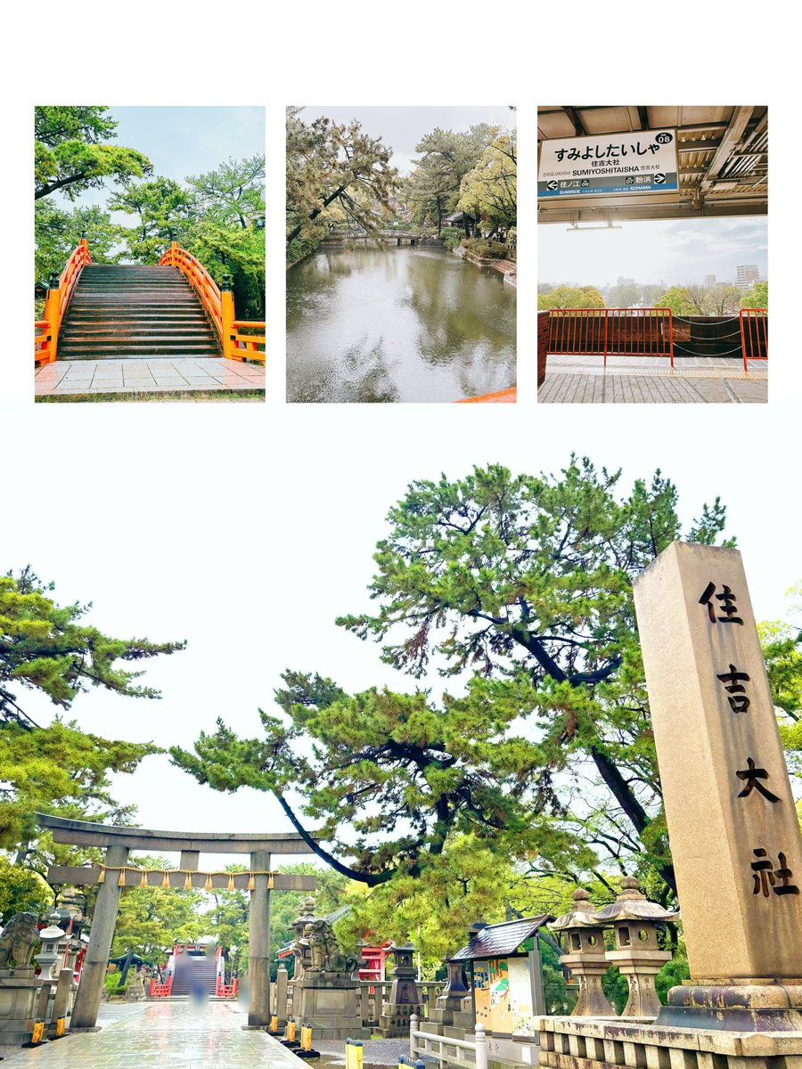tgsrm's tweet photo. 心の浄化のために初めて住吉大社へ🫶🏻

着くタイミングで大雨が降るという試練がありつつ、
噂の反橋(太鼓橋)だと関心しながら渡り切り、割と濡れながら参拝⛩

小雨になるのを待ち五大力石お守りを無事に見つけました✌🏻

今回は大雨と逐一調べながら参拝したからリベンジ参拝したいな https://t.co/tCqrlSCvWO