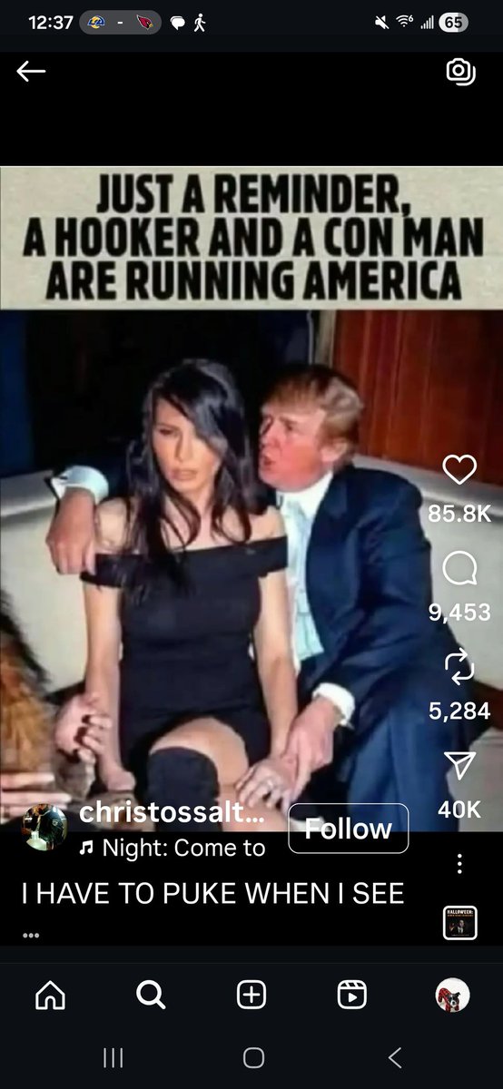sophia728 tweet media