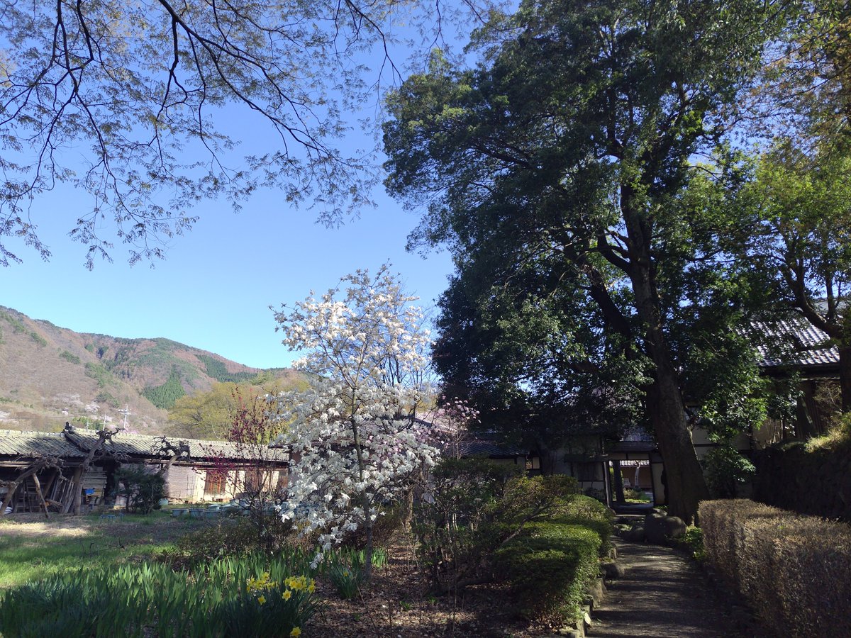 瑞暁鸞 tweet media