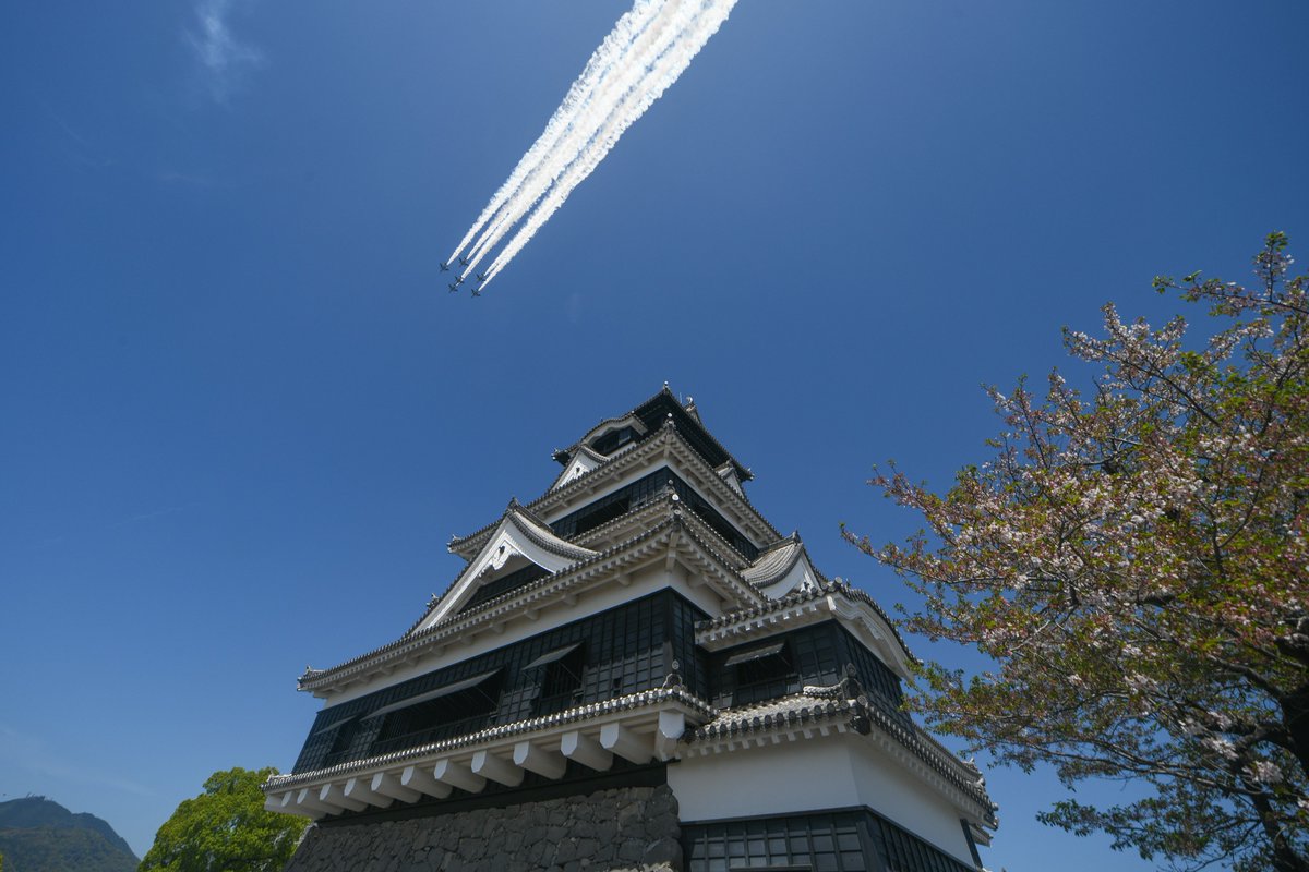 ﾏﾛﾀﾞﾖｰ tweet media