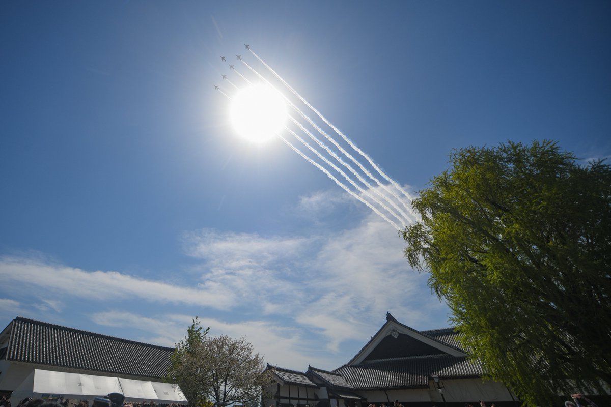 ﾏﾛﾀﾞﾖｰ tweet media