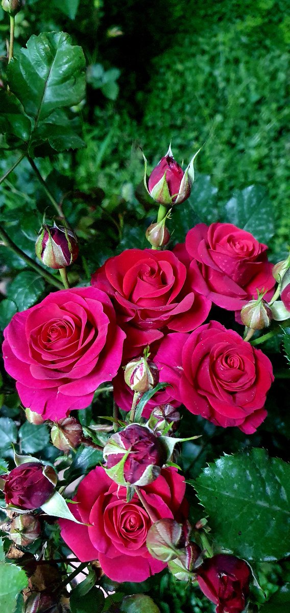 Engineer tweet media